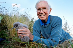 Geoff holding a hutton's chick in the new colony he was foundational in building.