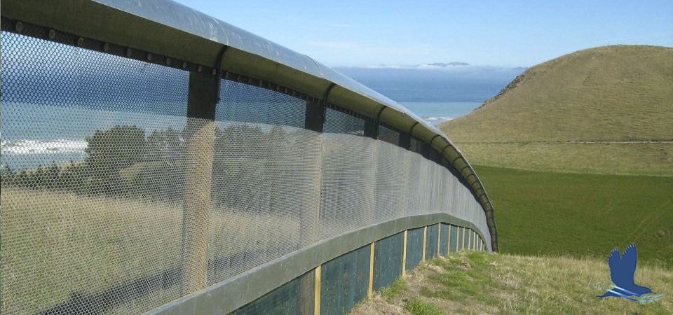 Kaikoura Pensinula fence Hutton's shearwater New Zealand